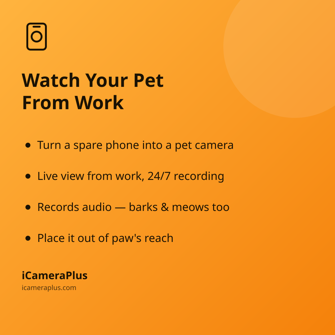 Orange gradient card headed "Watch Your Pet From Work" listing four setup takeaways: turning a spare phone into a pet camera, live view with 24/7 recording, audio capture, and paw-safe placement.